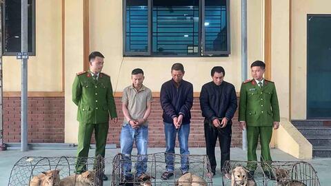 Khởi tố nhóm trộm chó mang súng điện, dao, bình xịt hơi cay