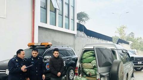 Bắt giữ gần 800 kg lá cây thuốc lá không có chứng từ hợp pháp tại Cao Bằng
