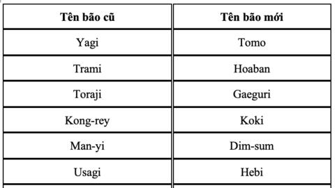 Chính thức xóa sổ tên bão Yagi và 8 cái tên khác, chốt tên thay thế