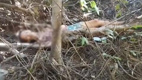 Công an băng rừng cứu người phụ nữ mất tích hơn 10 ngày