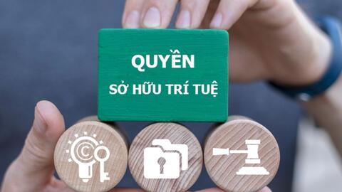 Thủ tướng yêu cầu triệt phá website phim, âm nhạc, chương trình truyền hình lậu