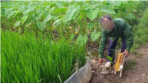 Khởi tố người đàn ông giăng điện bẫy chuột khiến người khác tử vong ở Ninh Bình