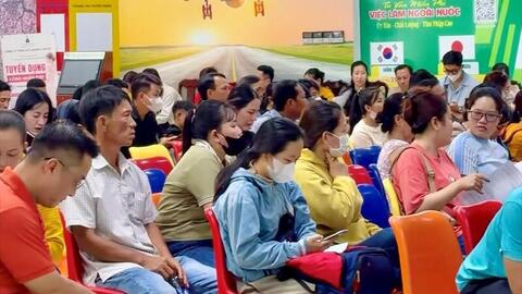 Cần Thơ: Doanh nghiệp thiếu lao động giữa lúc đơn hàng phục hồi
