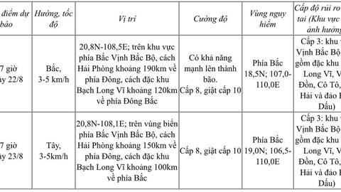 Ảnh hưởng của áp thấp nhiệt đới, đặc khu Bạch Long Vĩ (Hải Phòng) đã có gió mạnh giật cấp 9