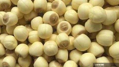 Nguyên nhân chính gây mất ngủ và cách xử lý