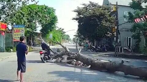 Cưa cây đổ trúng người đi xe máy, một người tử vong