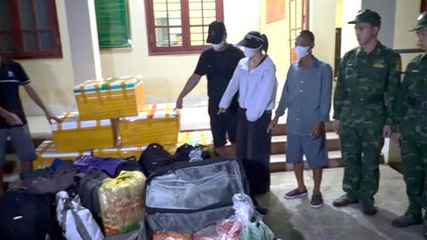 Triệt phá đường dây vận chuyển trái phép hơn 700 kg trứng gà non
