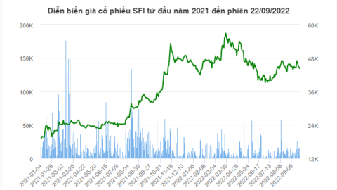 SFI chốt quyền tạm ứng cổ tức đợt 1/2022, tỷ lệ 20%