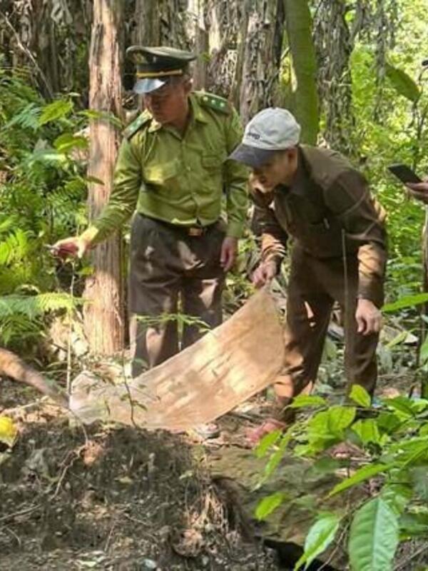 Thả 11 động vật hoang dã về Vườn Quốc gia Phong Nha - Kẻ Bàng