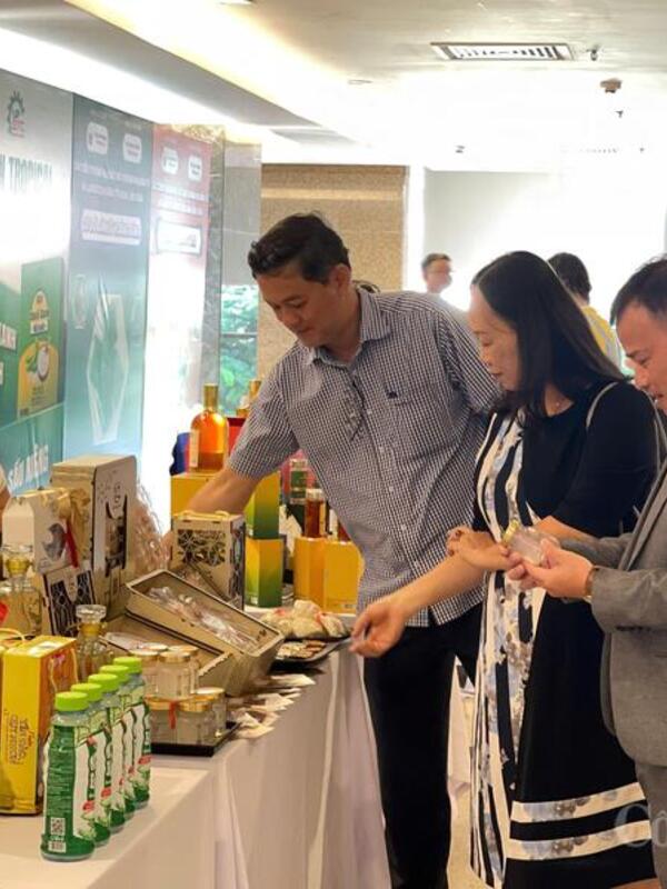 Khai mạc không gian trưng bày, triển lãm thương mại điện tử Gia Lai