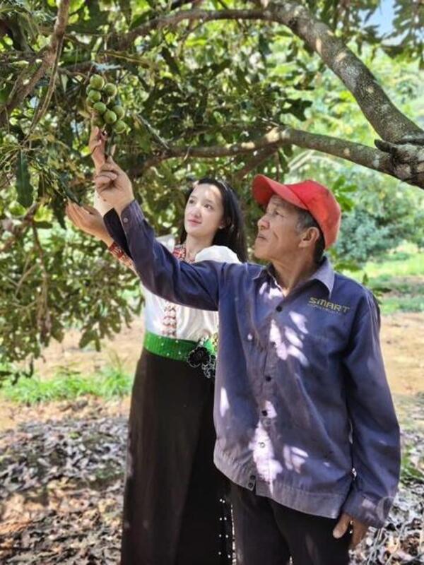 Điện Biên: Đẩy mạnh phát triển OCOP, gia tăng giá trị nông sản bản địa