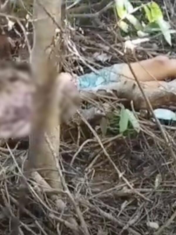 Công an băng rừng cứu người phụ nữ mất tích hơn 10 ngày