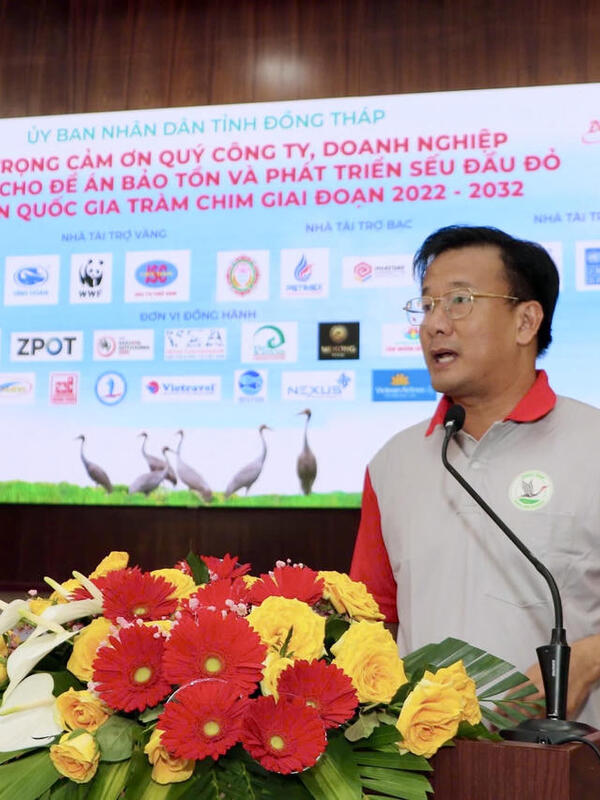 Thêm 6 cá thể Sếu đầu đỏ về Tràm Chim, nối dài hành trình "Đưa đàn Sếu trở về"