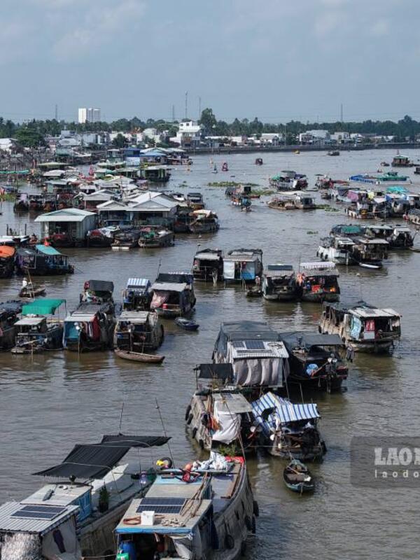 Cần Thơ tìm cách để du khách ở lâu hơn, chi nhiều hơn