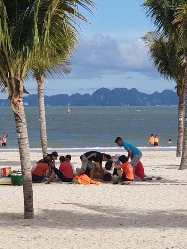Quảng Ninh thông tin về sự xuất hiện của sứa ở các khu vực bãi tắm
