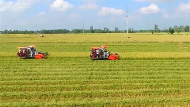 Đối tượng được miễn thuế sử dụng đất nông nghiệp đối với toàn bộ diện tích đất nông nghiệp