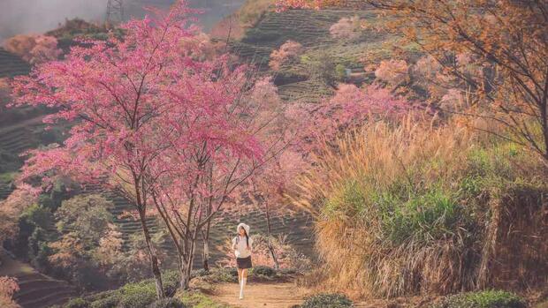 Khách ưu tiên chốt tour đi nhanh, nghỉ gọn dịp Tết Dương lịch 2026