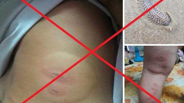 Cảnh báo thông tin bịa đặt việc cần máu hiếm cấp cứu tại Bệnh viện Đa khoa Vũng Tàu