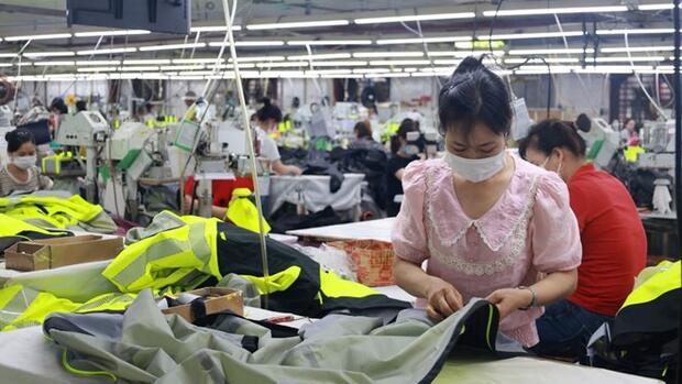 Hợp đồng lao động bắt buộc phải được gia hạn khi hết hạn trong một trường hợp