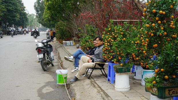 Đào bung nở sớm, tiểu thương vứt bỏ cành chỏng chơ hè phố