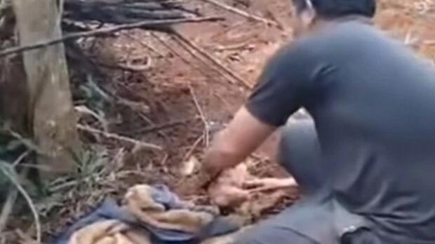 Công an xác định được danh tính người mẹ bỏ rơi con trong rẫy sầu riêng