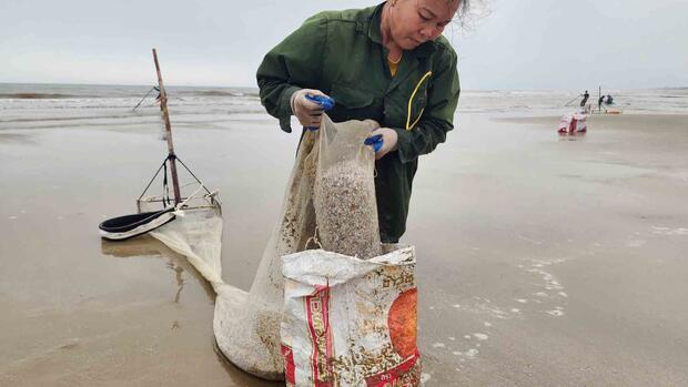 Đổ xô đi cào ốc tép dạt vào bờ biển kiếm tiền triệu mỗi ngày