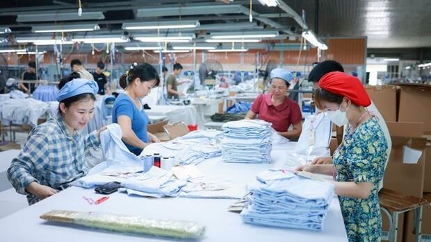 Người lao động có nghĩa vụ gì khi tham gia bảo hiểm thất nghiệp từ năm 2026