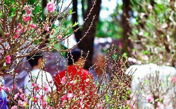 Nhận định ban đầu về tình hình thời tiết những ngày Tết Nguyên đán, ông Hoàng Đức Cường cho biết các tỉnh miền Bắc xu thế trời khô ráo, nhưng rét (Ảnh minh họa)