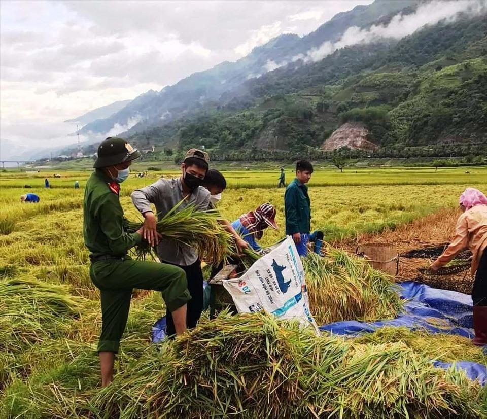 Giá gạo xuất khẩu của Việt Nam liên tiếp được điều chỉnh tăng