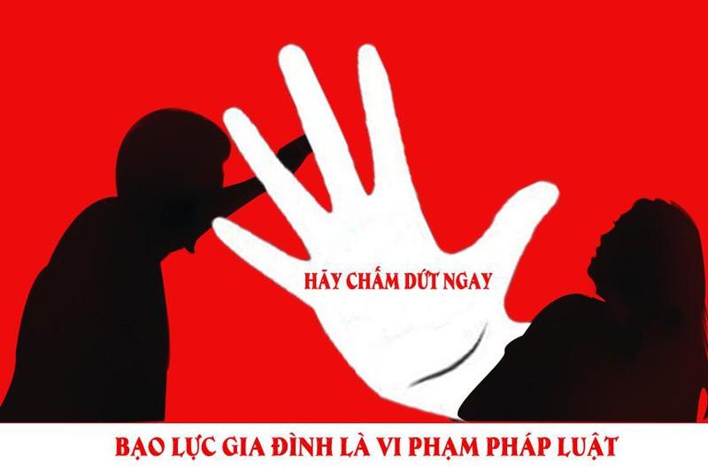 Xây dựng Luật Phòng, chống bạo lực gia đình (sửa đổi): Quyết không để lọt hành vi bạo lực gia đình ảnh 1