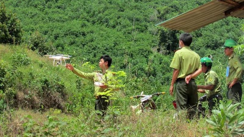 Lực lượng kiểm lâm tuần tra bảo vệ rừng.