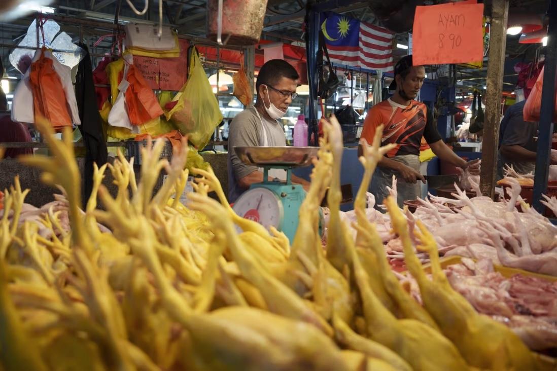 Hàng bán gà tươi tại một khu chợ ở Kuala Lumpur. Ảnh: AP.