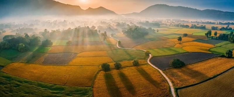 Triển lãm ảnh “Đồng bằng sông Cửu Long - Khát vọng phát triển” ảnh 1