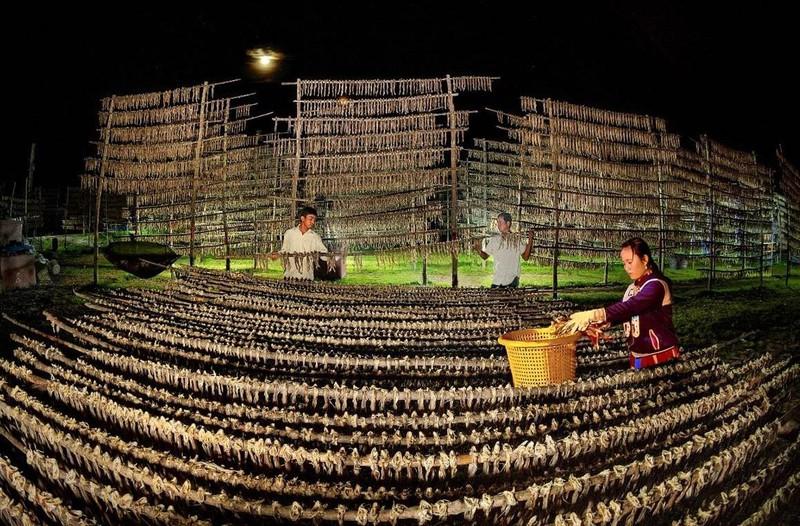 Triển lãm ảnh “Đồng bằng sông Cửu Long - Khát vọng phát triển” ảnh 5