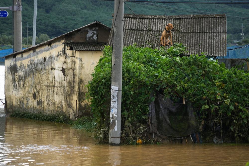 Xe cộ, đường sá bị phá hủy ở Pohang.