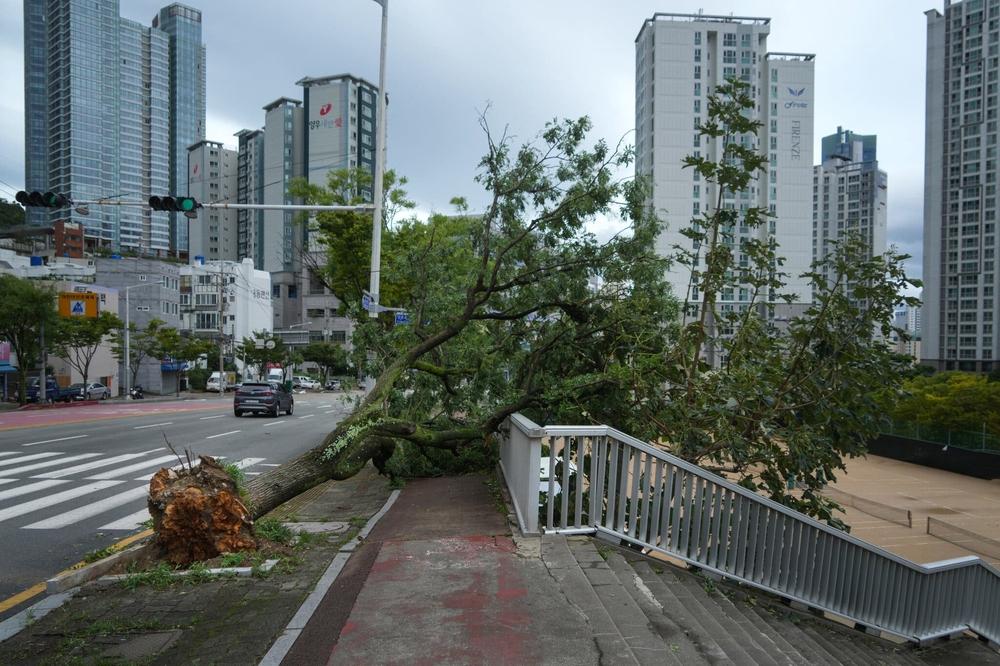 Nước lũ dâng cao nhấn chìm một bãi đậu xe ngoài trời ở Ulsan.