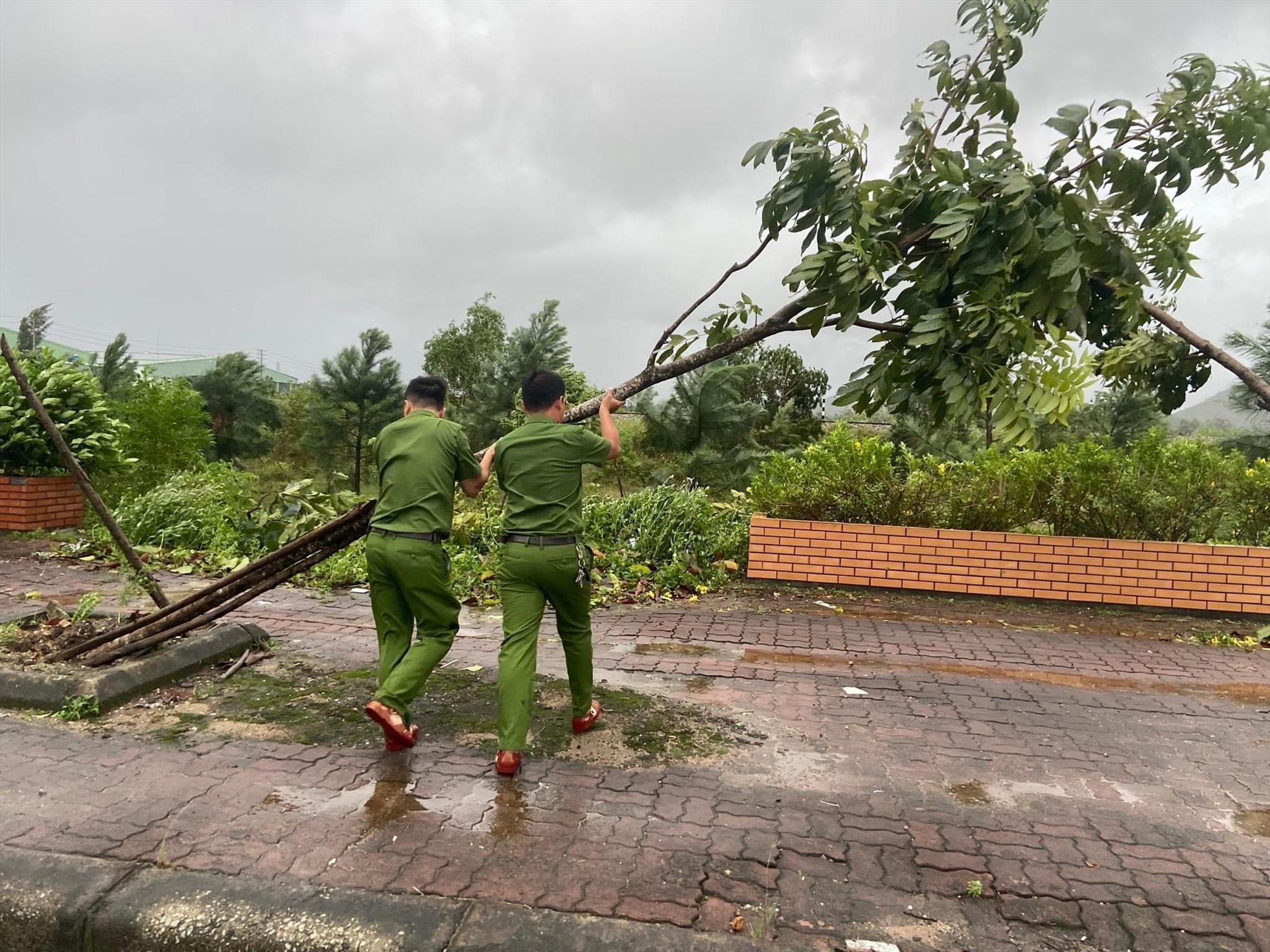 Cụ thể, đã có khoảng 500 cây xanh bị gãy đổ.