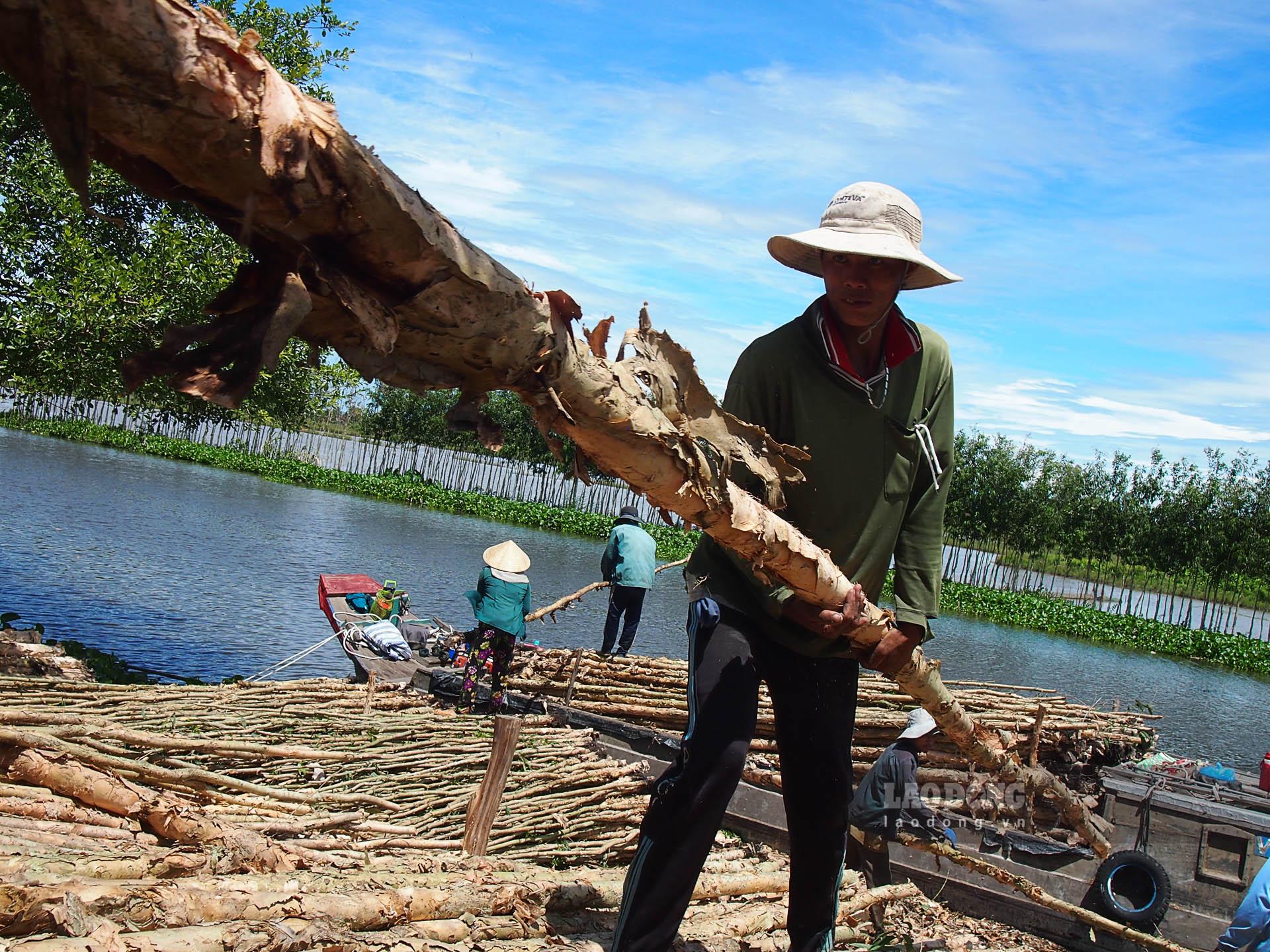 Nhờ nghề đốn, vác tràm thuê nhiều lao động có việc làm, thu nhập ổn định. Ảnh: Phương Anh