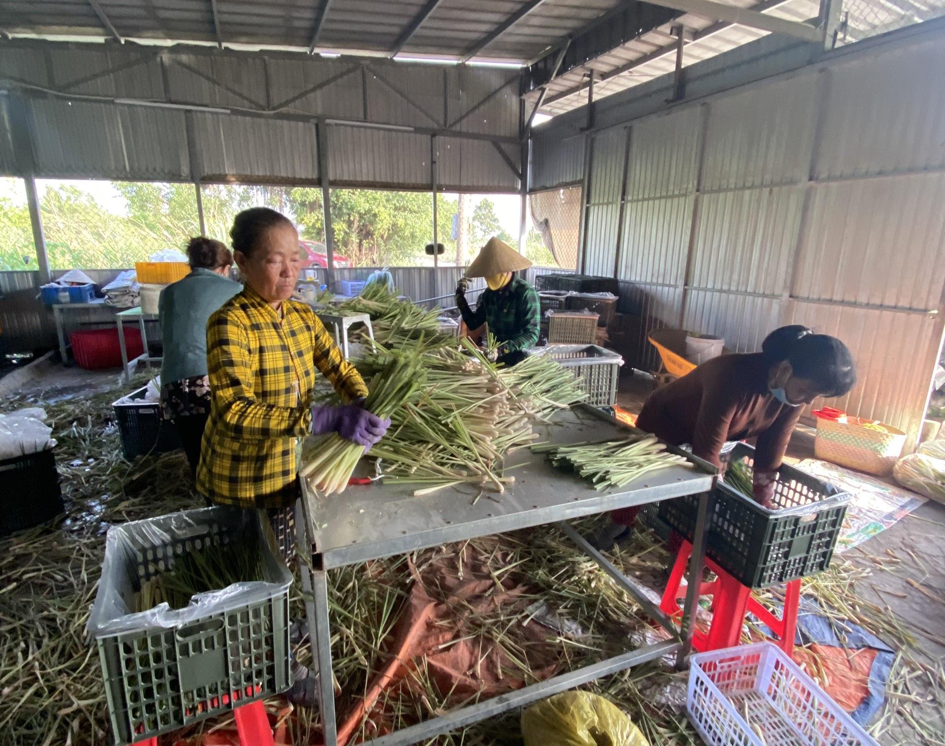 Dù đang lao động tự do nhiều người vẫn nuôi hy vọng tìm việc làm ổn định có được các chế độ chính sách cho người lao động, đảm bảo cuộc sống về sau. Ảnh: Hoàng Lộc