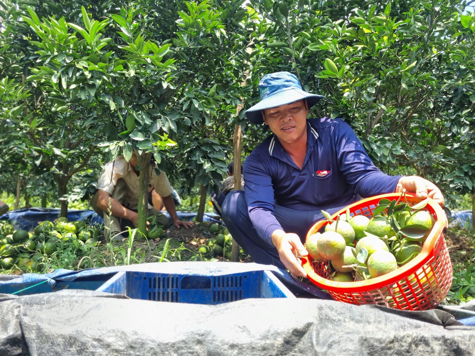 Người thất nghiệp làm lao động tự do trong thời gian chưa xin được việc mới