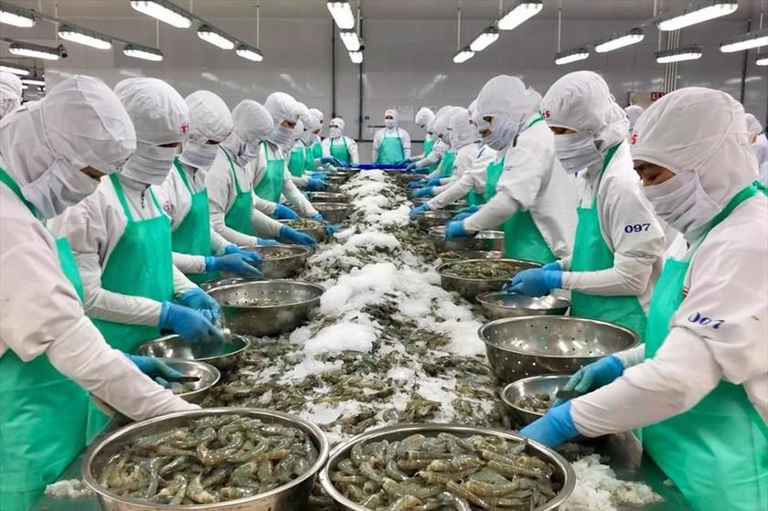 Hoa Kỳ luôn là đối tác nhập khẩu hàng đầu của thuỷ sản Việt Nam. (ảnh: Tạp chí công thương) ảnh 1 Hoa Kỳ luôn là đối tác nhập khẩu hàng đầu của thuỷ sản Việt Nam. (ảnh: Tạp chí công thương) ảnh 1
