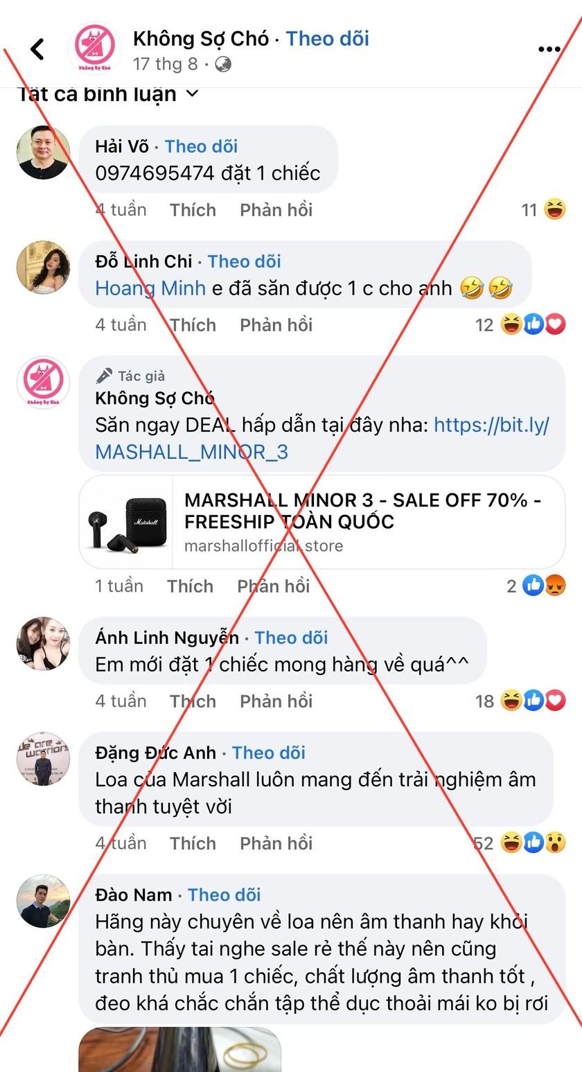 Những bình luận Feedback này đều là fanpage ảo giả danh người dùng ảnh 7