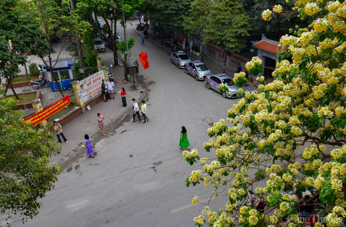 Hoa bún Hà Nội