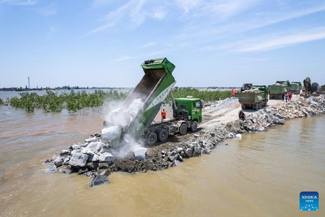 Dự báo lũ sông Dương Tử kéo dài, Trung Quốc cấp tập vá đê vỡ