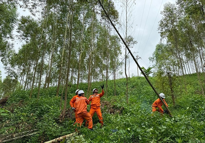 Công nhân điện lực Lạng Sơn phát quang bảo vệ hành lang lưới điện cao áp