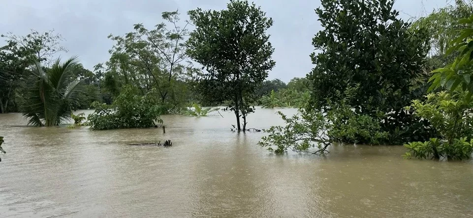 Thông tin mới nhất về thiệt hại do mưa lũ gây ra trên địa bàn tỉnh Thanh Hóa Thông tin mới nhất về thiệt hại do mưa lũ gây ra trên địa bàn tỉnh Thanh Hóa