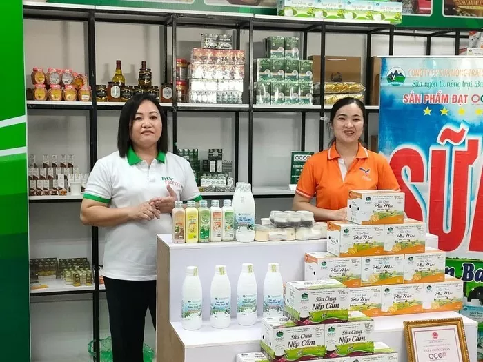 Việc chuyển đổi số giúp doanh nghiệp có thêm thu nhập Việc chuyển đổi số giúp doanh nghiệp có thêm thu nhập