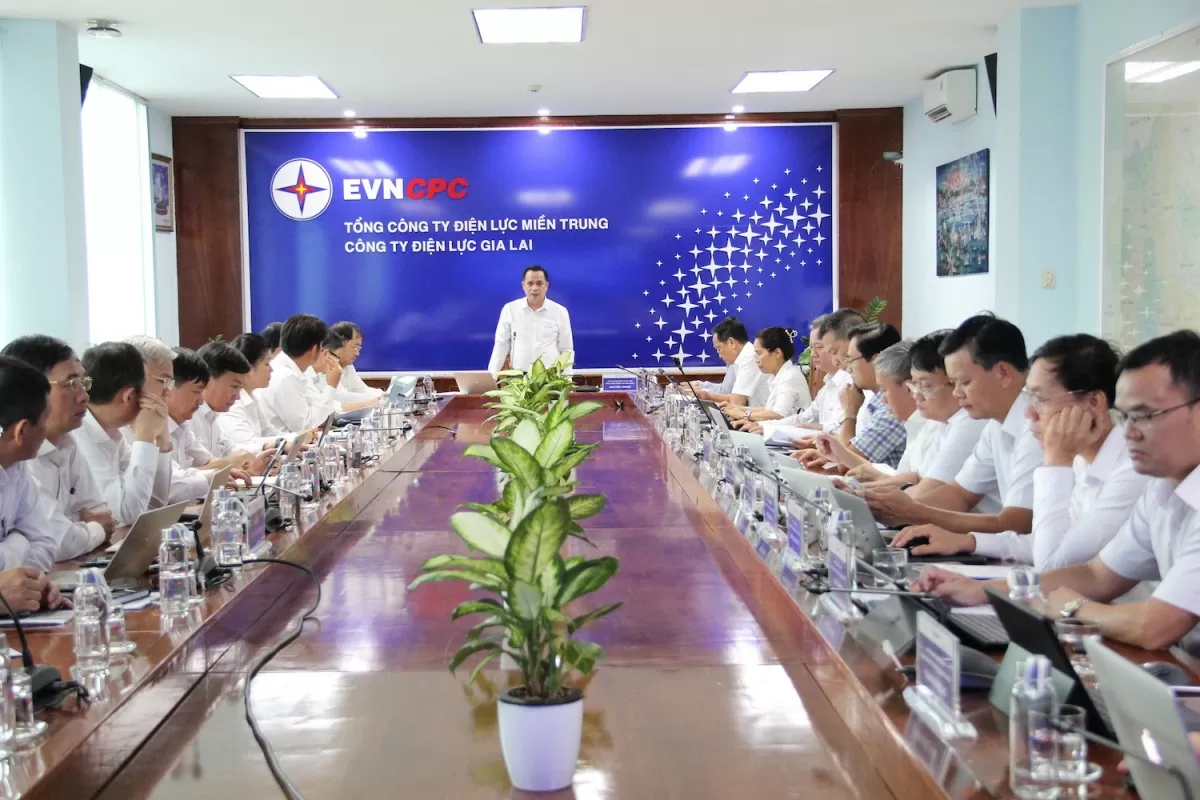 Chủ tịch HĐTV EVNCPC Nguyễn Thanh làm việc với PC Gia Lai