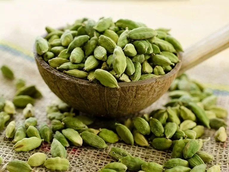 Việt Nam thu về 20 triệu USD từ loại gia vị đắt thứ 3 thế giới Việt Nam thu về 20 triệu USD từ loại gia vị đắt thứ 3 thế giới