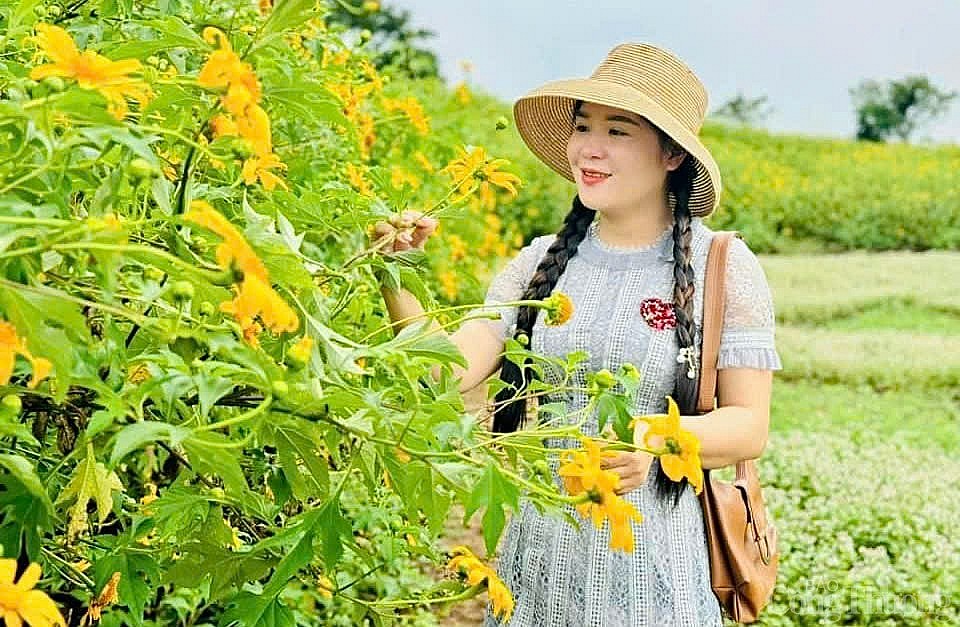 Ngắm hoa dã quỳ khoe sắc trên triền núi lửa Chư Đang Ya mùa lễ hội Ngắm hoa dã quỳ khoe sắc trên triền núi lửa Chư Đang Ya mùa lễ hội